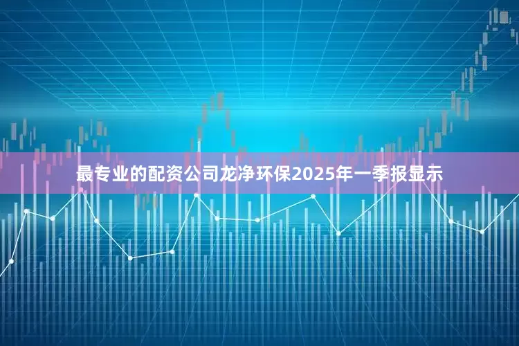 最专业的配资公司龙净环保2025年一季报显示